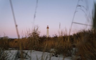 Cape May Point State Park's cover photo