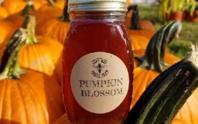 Pumpkin blossom honey is in!! This very limited honey is rich and sweet with notes of caramel and toffee. Available in store or …