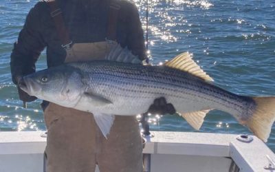 Photos from Stalker Fishing Charters, Cape May's post