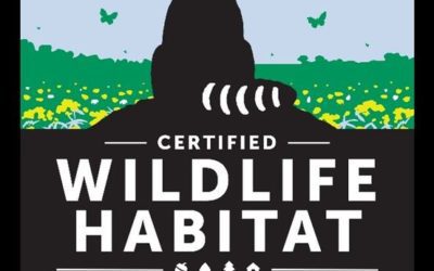 Habitat destruction has a negative impact on wildlife population.  One simple action is to create a Certified Wildlife Habitat i…