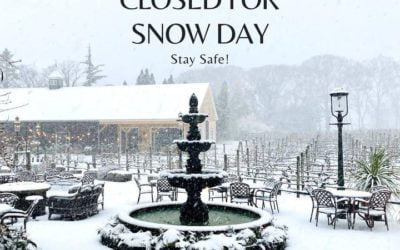 Closed Monday, January 3rd for a snow day! Stay safe and enjoy some wine at home 🍷☃️⁣
