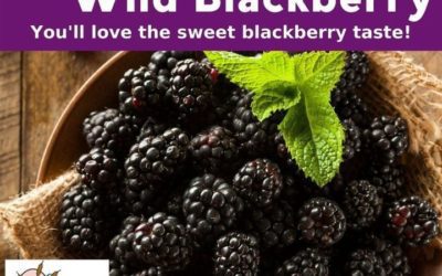 Wild Blackberry Tea…. You're gonna love the sweet berry taste!
http://ow.ly/OtD050DfrtX
Please shop online as the shop is clos…