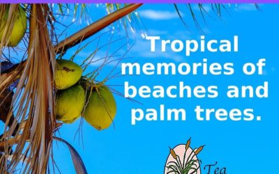 Tropical memories of beaches and palm trees…. Try our Island Coconut Tea and see why it is our best seller online.
Order onlin…
