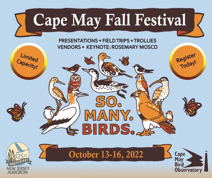 Our Cape May Fall Festival is just around the corner. Space is limited