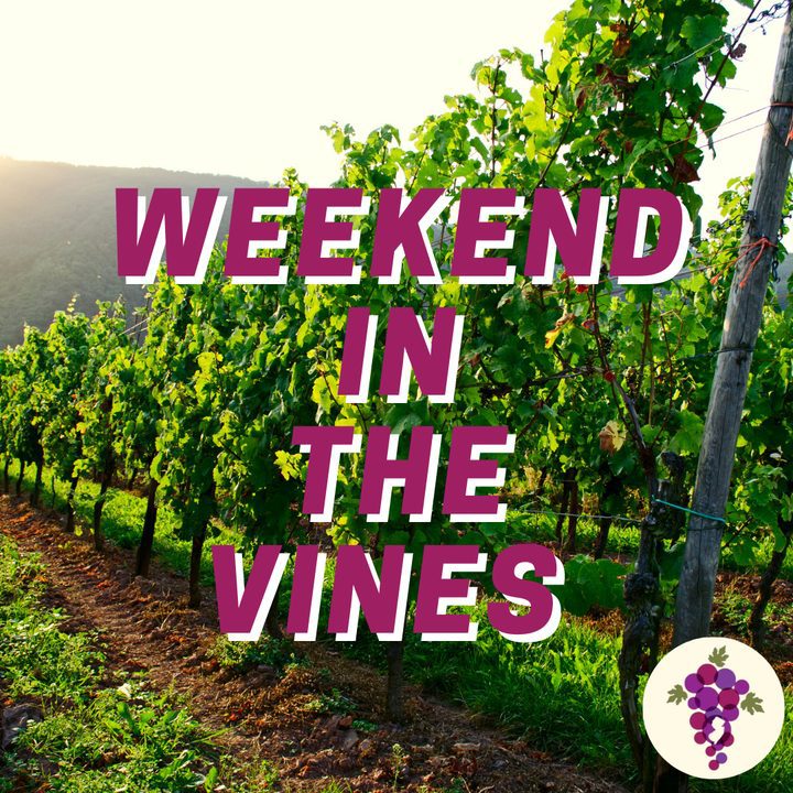 Photos from The Garden State Wine Growers Association's post Things