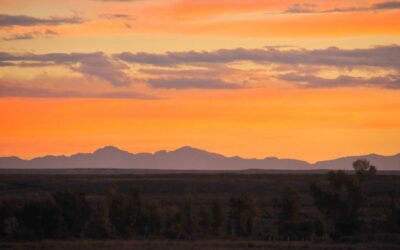 In honor of Martin Luther King Jr. Day, entrance fees are waived to all U.S. Department of the Interior public lands, including …