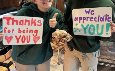 🐉🎉Happy Appreciate a Dragon Day!We wanted to share our love and appreciation for our Bearded Dragon, Goku!Goku has been apar…