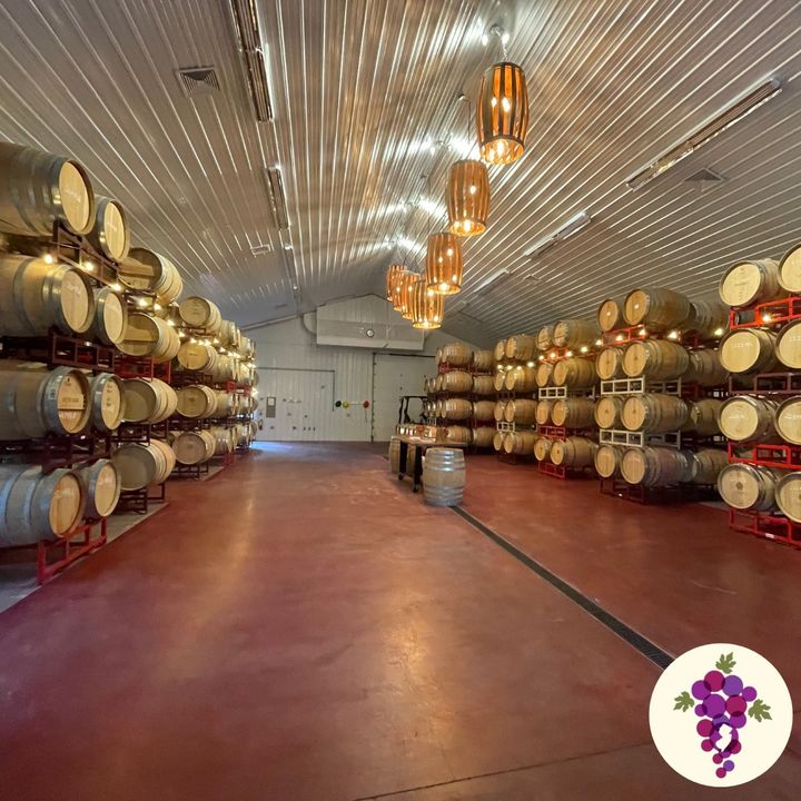 From the barrel to the bottle to your glass! 🍷 Winemakers began storing