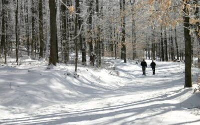 Got snow? Get your heart pumping, your muscles stretched and your lungs refreshed with some fun winter activities. At national w…