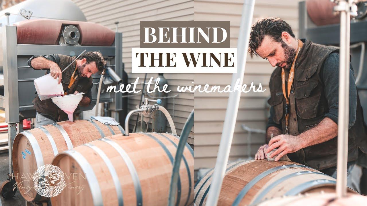 🍷Behind the Wine: Meet the Winemakers 2024 🍇 Introduction to Winemaking ...