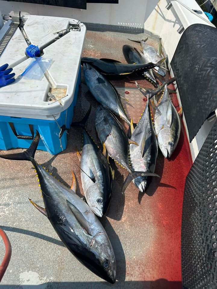 Photos from Stalker Fishing Charters, Cape May's post Things to Do in