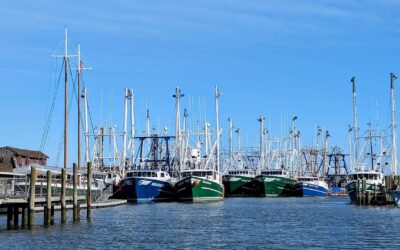 Waterfront at its Best: Discover Cape May Harbor
