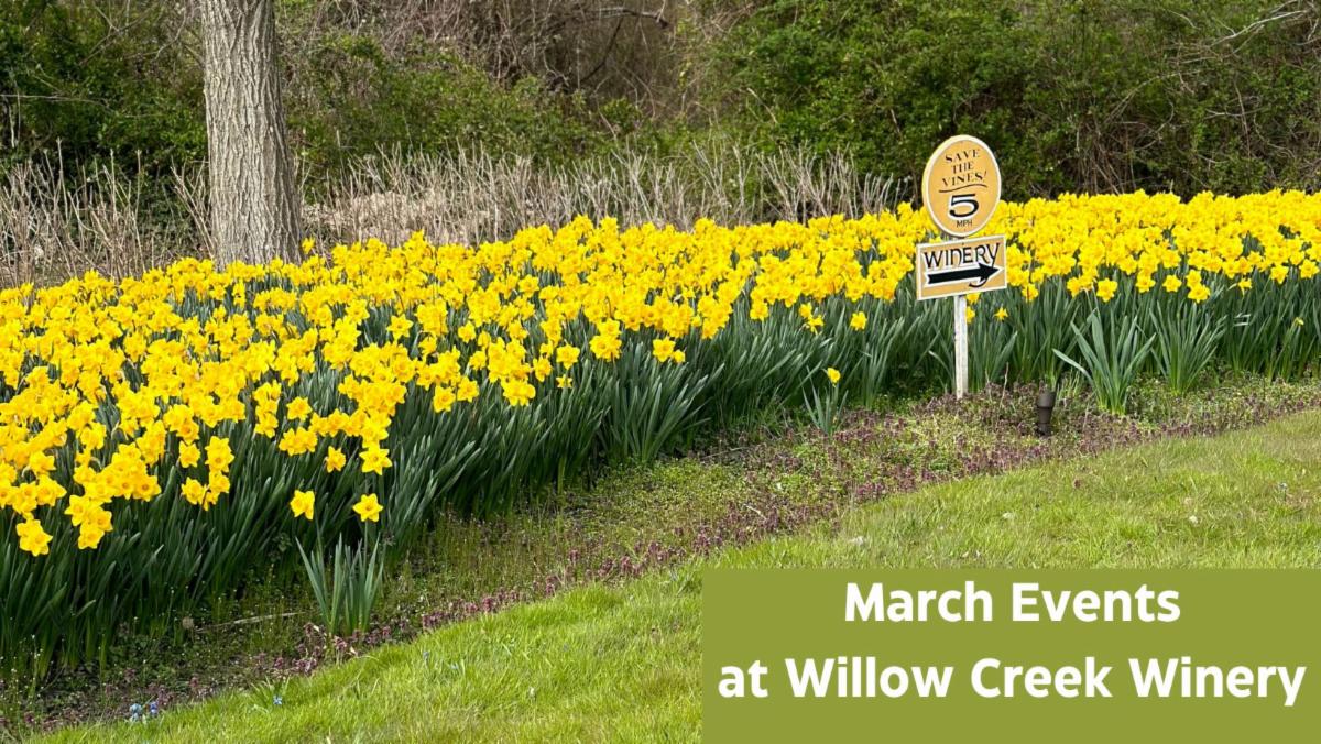 Willow Creek Winery Events March 2024 Things to Do in Cape May NJ