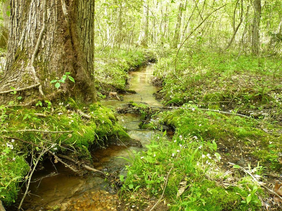 The Service Is Proposing A New Refuge In Southern Maryland To Conserve ...