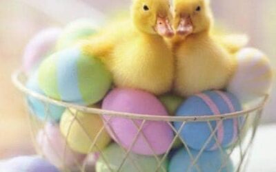 🌸 Bath Time wishes everyone a happy and beautiful Easter! May the promise of this season fill you with joy and hope for the year…