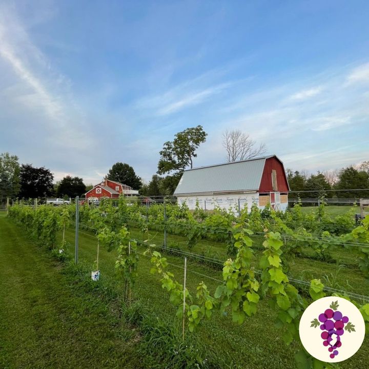 Spring is a beautiful time to spend at a New Jersey Winery!🌷 Enjoy an ...