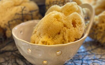 Our Natural Sea Sponges have always been a must-have for luxury bathing