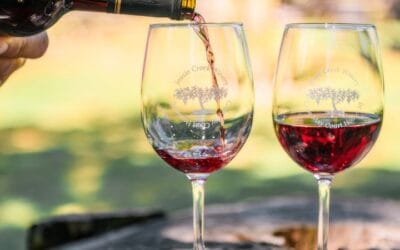 There's something for everyone at Jessie Creek: check out our menu of wines on our website featuring dry, off dry, fruit, desser…