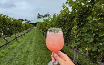 During your next visit to Cape May Winery, ask our Wine Associates for our seasonal mocktail!