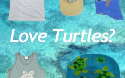 Do you love turtles?