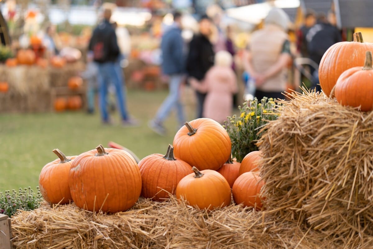 Happy Halloween from The Harrison! We hope you're enjoying beautiful Cape May this spooky season!