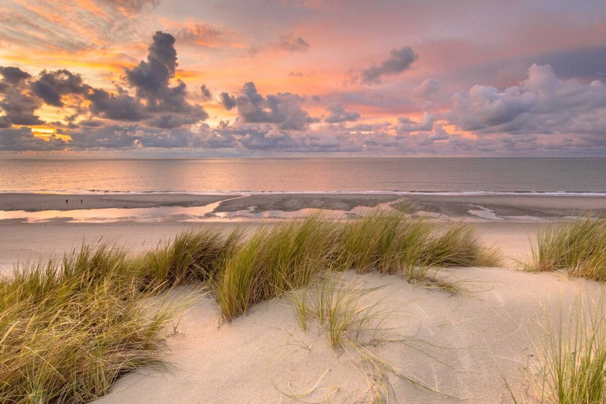 Things to Do in Cape May NJ Cape May Vibe