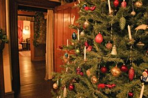 | Things to Do in Cape May NJ