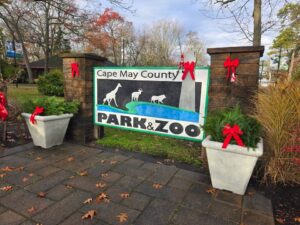 | Things to Do in Cape May NJ