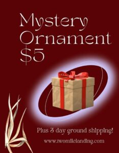 | Things to Do in Cape May NJ