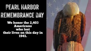 | Things to Do in Cape May NJ