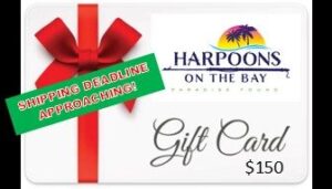 | Things to Do in Cape May NJ