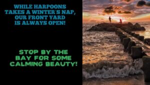 | Things to Do in Cape May NJ